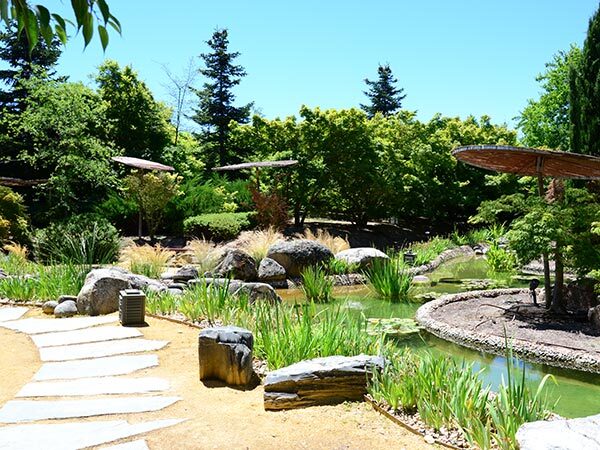 敷地内はどこもかしこも緑でいっぱい。なかでもひと際癒しの空間になっているのが日本庭園